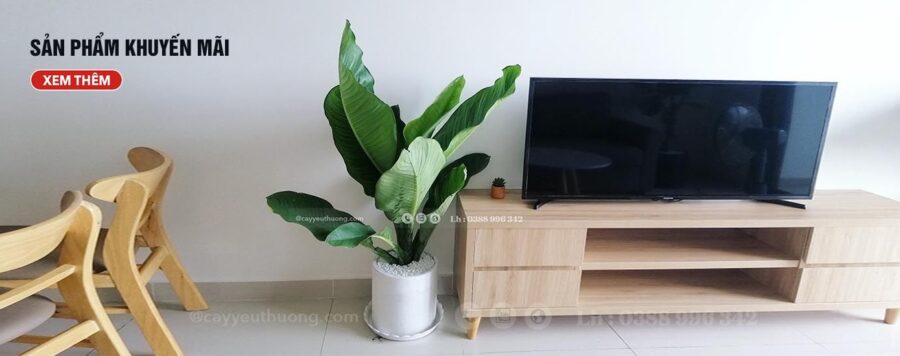 Ba điểm đến du lịch đẹp nhất trong tháng 11
