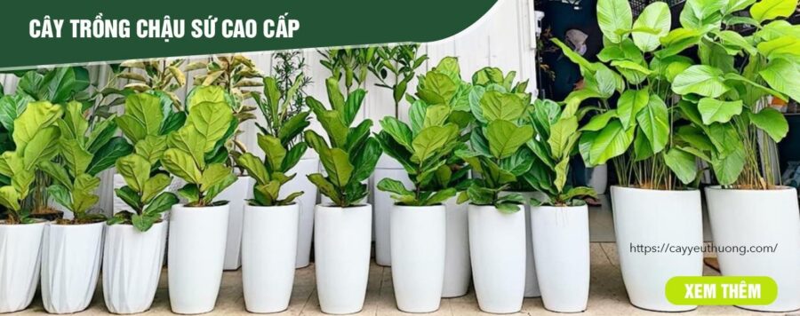 8 chia sẻ khi du lịch Hong Kong