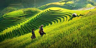 Du lịch Hà Nội – Mai Châu – Mộc Châu – Sơn La – Sapa – Yên Bái – Phú Thọ từ Sài Gòn