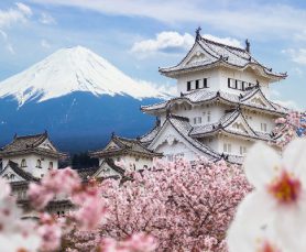 Du lịch Nhật Bản mùa hoa Anh Đào tuyệt đẹp mê li Osaka – Kyoto – Fuji – Tokyo từ Hà Nội giá tốt 2020