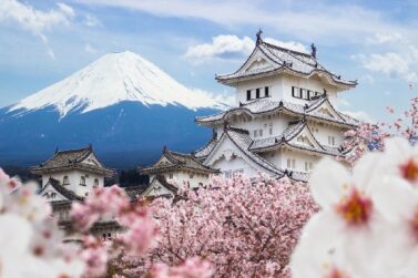 Du lịch Nhật Bản mùa hoa Anh Đào tuyệt đẹp mê li Osaka – Kyoto – Fuji – Tokyo từ Hà Nội giá tốt 2020