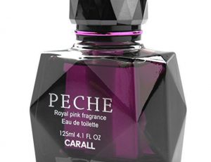 Nước hoa ô tô cao cấp CARALL PECHE Nhật Bản