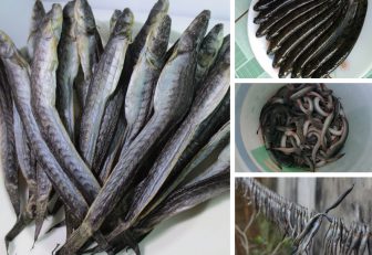Cách làm khô cá kèo ngon tại nhà