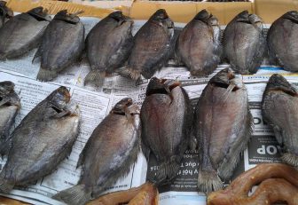 Khô có được mang lên máy bay không?