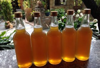 Mật ong rừng nguyên chất U Minh Cà Mau