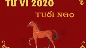 Tổng Quan Tử Vi năm 2020 của người tuổi Ngọ
