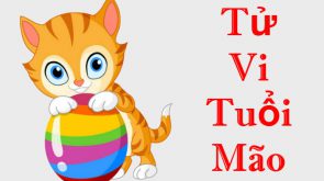 Tổng Quan Tử Vi năm 2020 của người tuổi Mão mới nhất hiện nay