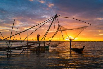 Vẻ đẹp miền Tây mùa nước nổi
