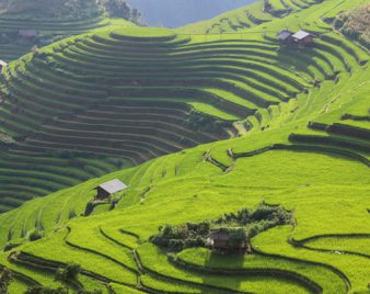 YÊN BÁI Các thửa ruộng bậc thang của Mù Cang Chải được ví như những chiếc cầu thang màu ngọc lục bảo vươn lên trời cao.