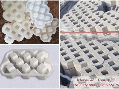 Mã 061-Trồng cỏ 8 lỗ