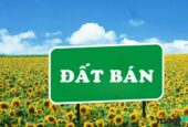 Bán đất 1300m2 tại Dĩ An – Bình Dương. Đường 5m