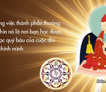 Những bài học thú vị 2020