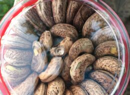 HẠT ĐIỀU VỎ LỤA LOẠI NGUYÊN-500GR