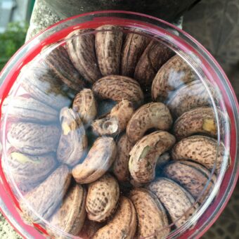 HẠT ĐIỀU VỎ LỤA LOẠI NGUYÊN-500GR