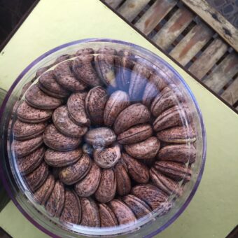 HẠT ĐIỀU RANG MUỐI 300GR