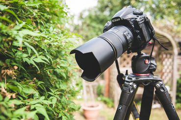 Top 5 ống kính tốt nhất dành cho người mới bắt đầu chụp ảnh động vật hoang dã