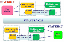 Dịch vụ xuất nhập khẩu ủy thác