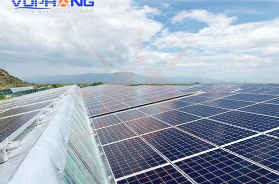 Giá điện mặt trời ở trang trại nông nghiệp công nghệ cao?