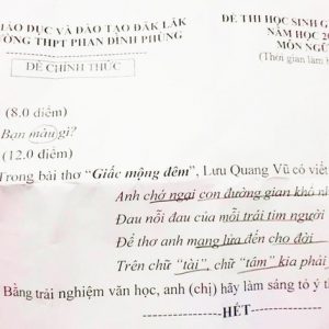 Đề thi Ngữ Văn chỉ trọn vỏn vẹn 3 từ