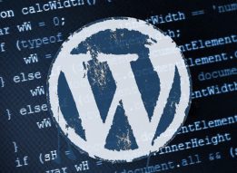 Hướng dẫn cách chọn mua Hosting tốt nhất cho website WordPress