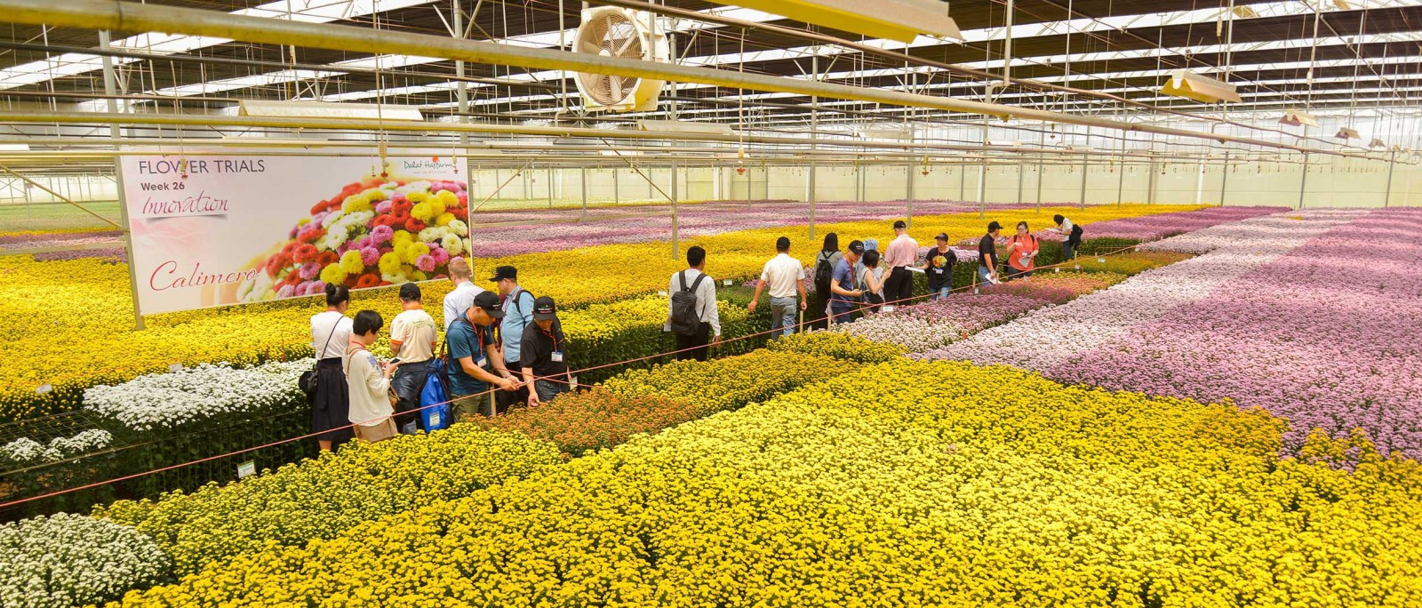 Vườn hoa 2