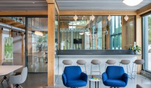 Thiết kế biophilic là cây cầu kết nối thiên nhiên và con người