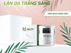 [[HOT]] KEM FACE NHÂN SÂM MQSKIN – Kem được giới trẻ ưa chuộng nhất hiện nay