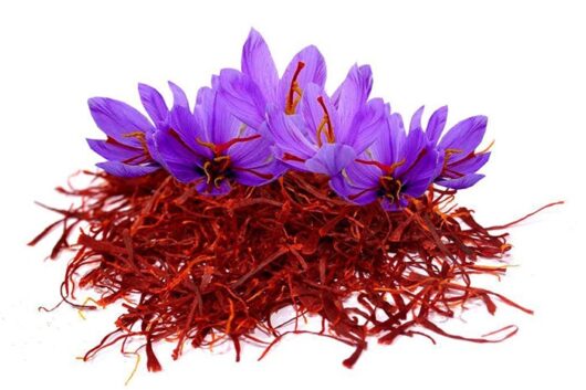 Nhập khẩu nguyên kiện