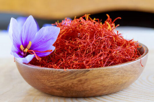 Dòng sản phẩm cao cấp