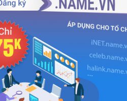 Những công ty đầu tiên được đăng ký tên miền .NAME.VN