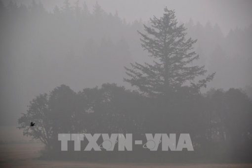 Argentina được viện trợ 82 triệu USD giúp giảm phát thải carbon