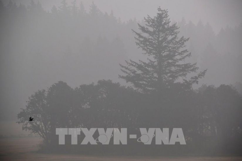 Argentina được viện trợ 82 triệu USD giúp giảm phát thải carbon