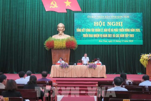 Kon Tum: Không bảo vệ được rừng người đứng đầu cấp ủy phải chịu trách nhiệm