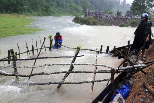 Phục hồi sản xuất, đảm bảo lương thực cho người dân miền Trung sau mưa lũ