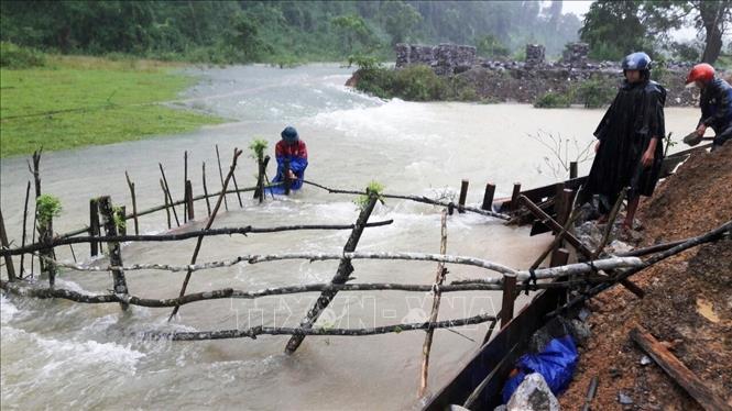 Phục hồi sản xuất, đảm bảo lương thực cho người dân miền Trung sau mưa lũ