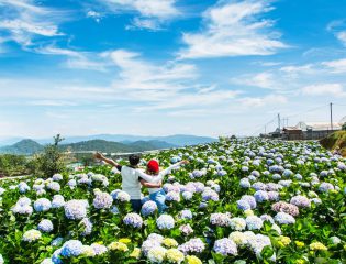 6 điểm du lịch Đà Lạt ‘cực đẹp’ không đi sẽ phí