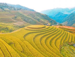 [MỚI NHẤT] Review du lịch Mù Cang Chải siêu chi tiết