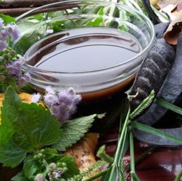 Các bài thuốc / công thức dầu gội dân gian từ thiên nhiên