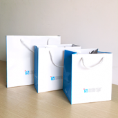 Mẫu túi giấy tái chế sang trọng cho shop
