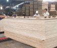 Hội thảo Gỗ dán: cơ hội và những rủi do trong bối cảnh đại dịch Covid-19