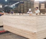 Hội thảo Gỗ dán: cơ hội và những rủi do trong bối cảnh đại dịch Covid-19