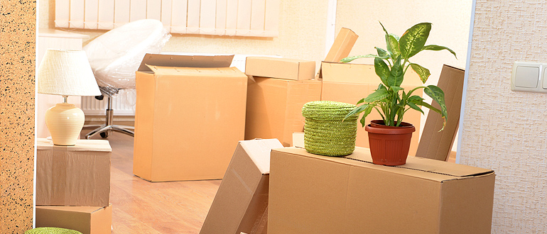 Bí quyết lập kế hoạch chuyển văn phòng từ A đến Z