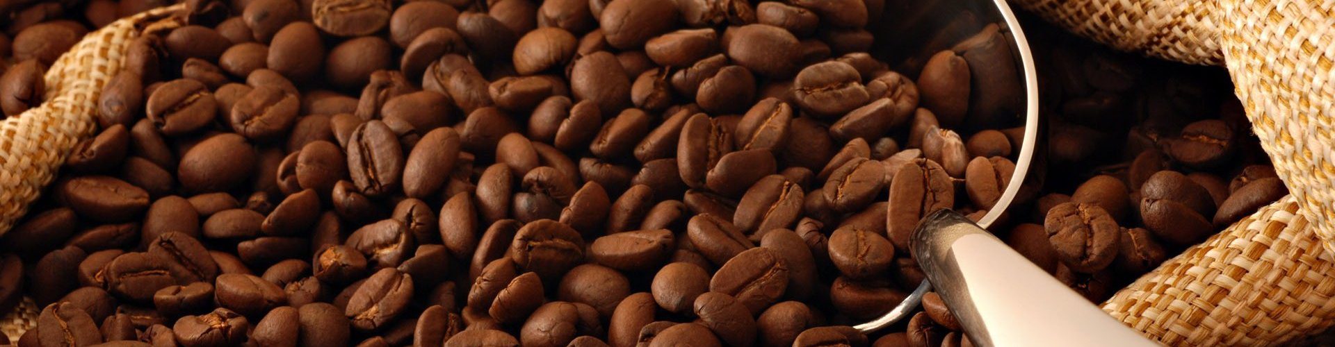 Hạt coffee