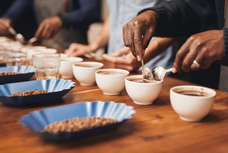 SẢN PHẨM CÀ PHÊ ROBUSTA CHẾ BIẾN ƯỚT R1