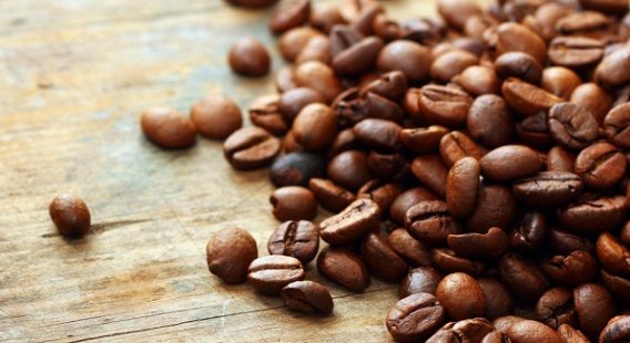SẢN PHẨM CÀ PHÊ ROBUSTA CHẾ BIẾN ƯỚT R1