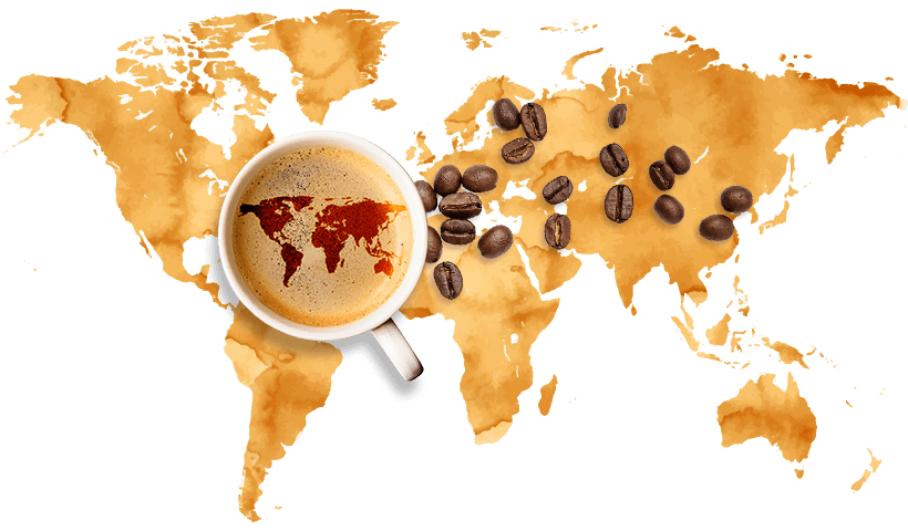 SẢN PHẨM CÀ PHÊ ROBUSTA CHẾ BIẾN ƯỚT R1