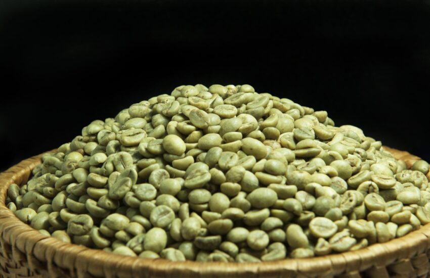 SẢN PHẨM CÀ PHÊ ROBUSTA CHẾ BIẾN ƯỚT R1