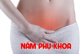 Nguyên nhân và triệu chứng nấm Candida