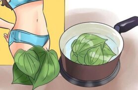 Top 4 cách trị ngứa vùng kín bằng lá trầu không hiệu quả và an toàn