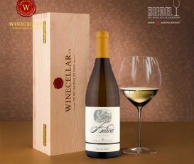 Rượu vang Antica Chardonnay